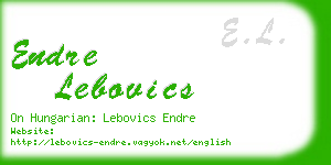 endre lebovics business card